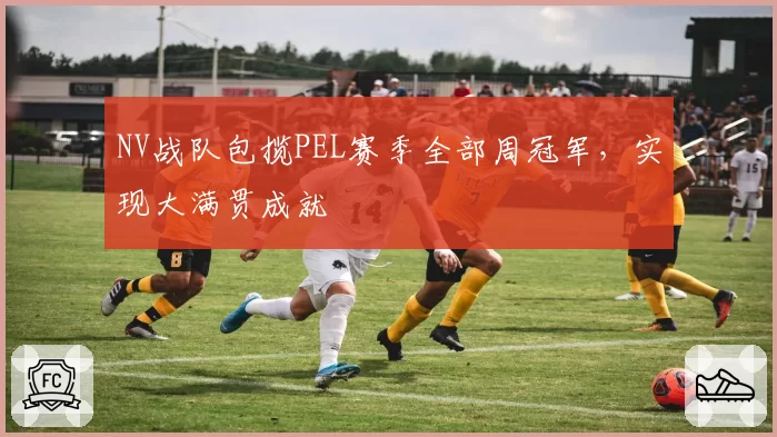 NV战队包揽PEL赛季全部周冠军,实现大满贯成就