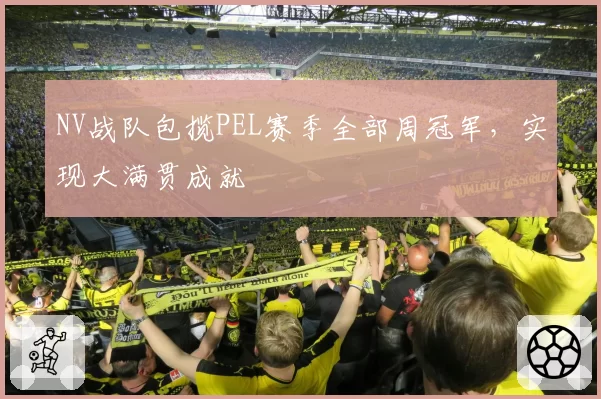 NV战队包揽PEL赛季全部周冠军,实现大满贯成就