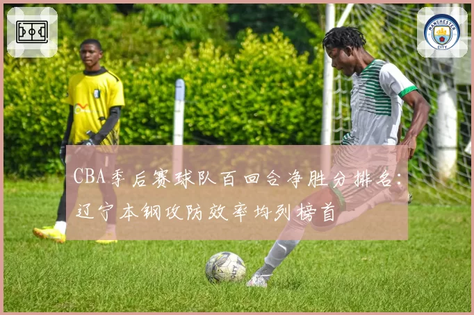 CBA季后赛球队百回合净胜分排名:辽宁本钢攻防效率均列榜首